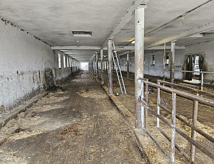 Oprava stáje pro skot